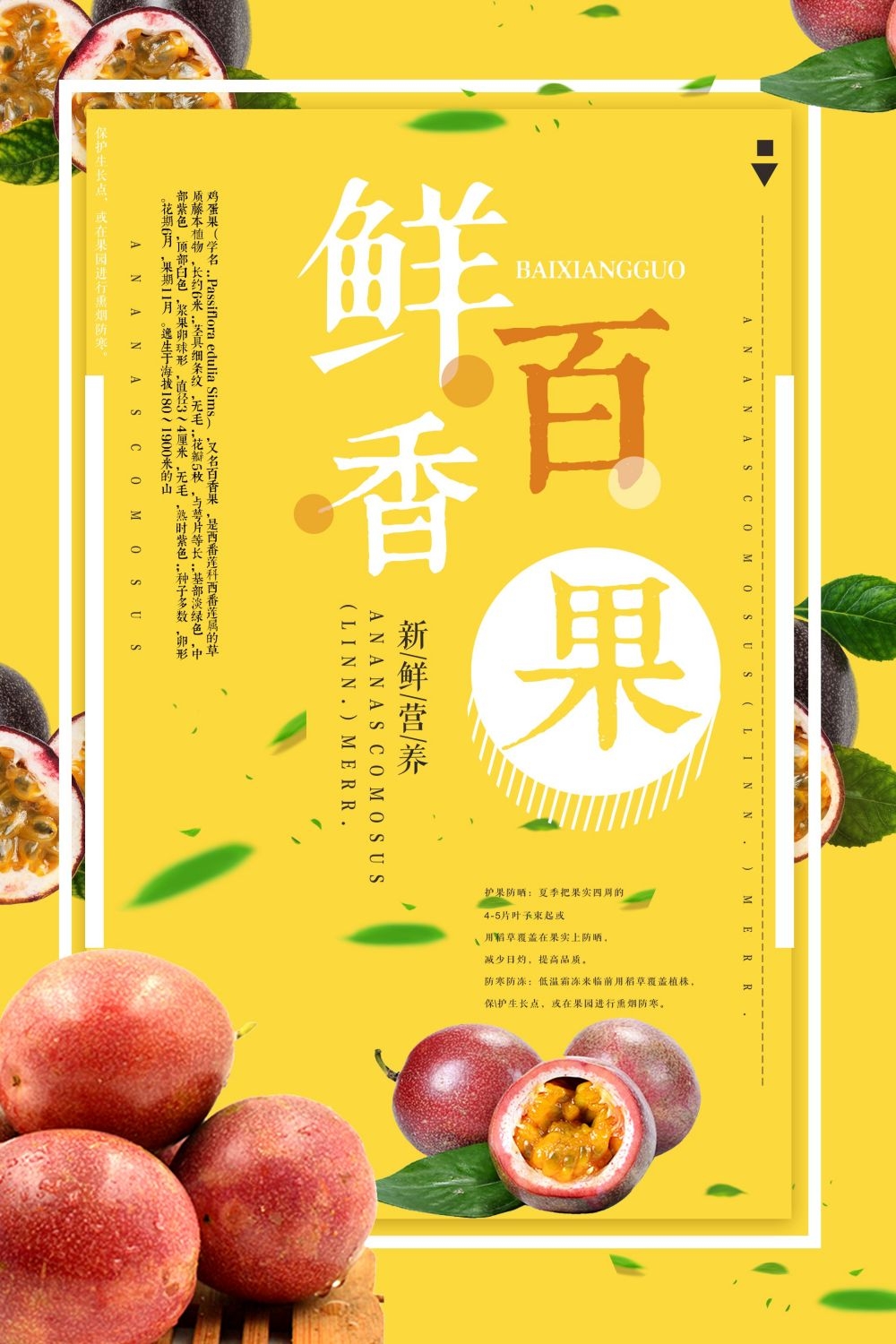 百香果新鲜果蔬水果促销海报背景模板 (6)