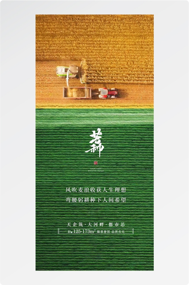 二十四24节气芒种小麦风景海报 (21)