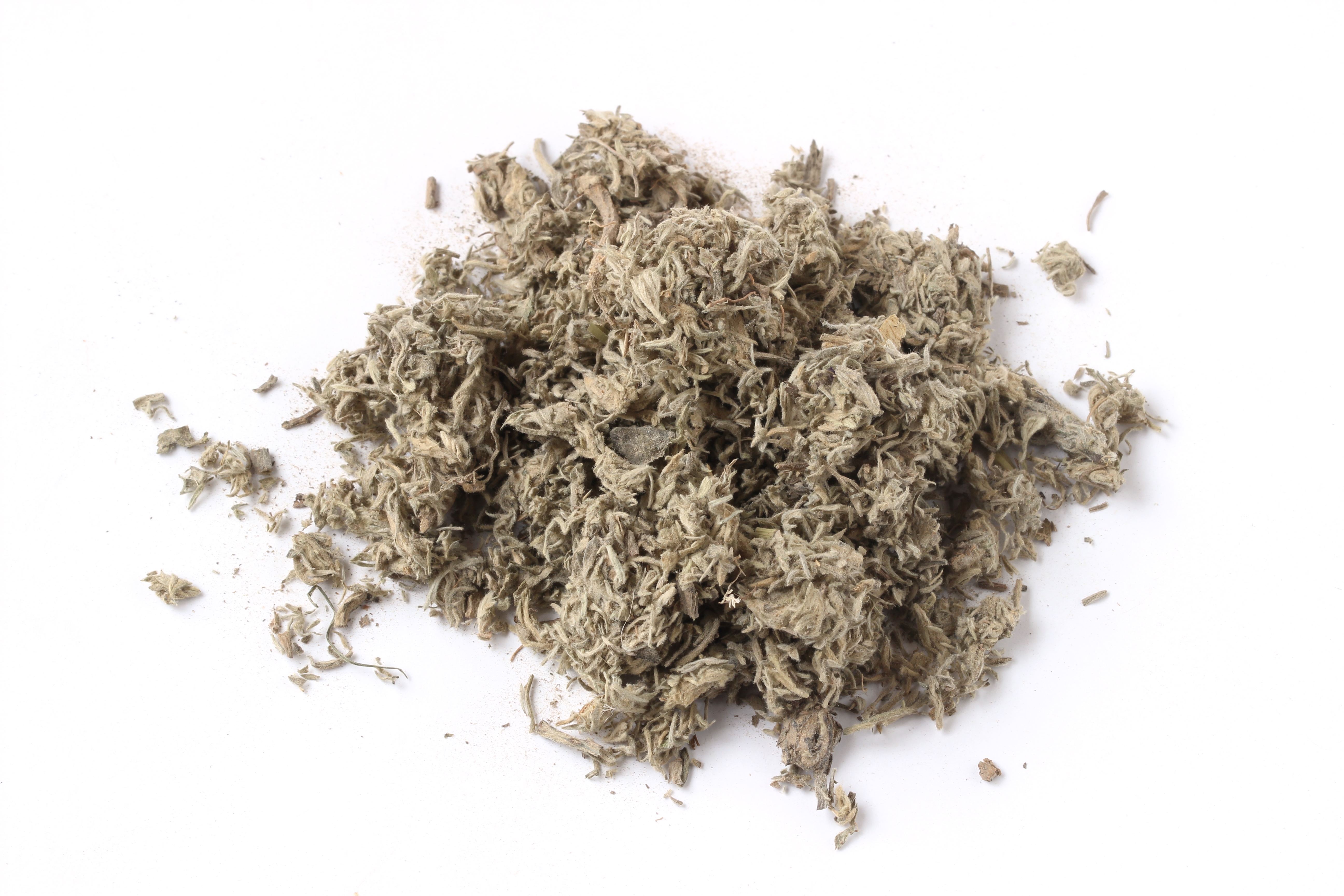 中药茵陈