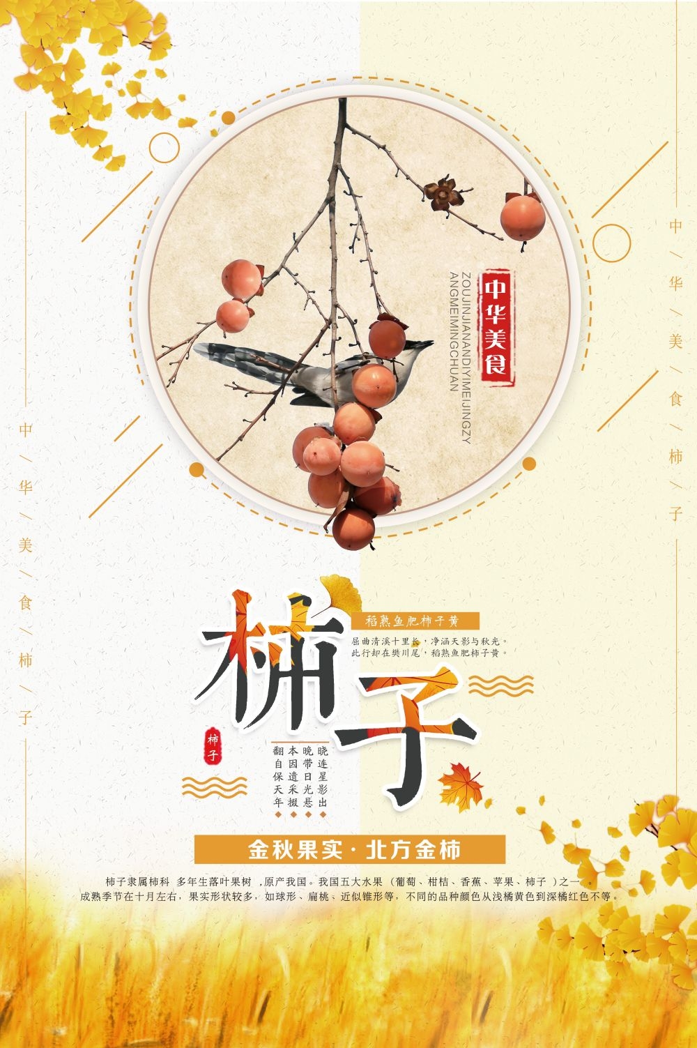 柿子熟了新鲜果蔬水果促销海报展板 (26)
