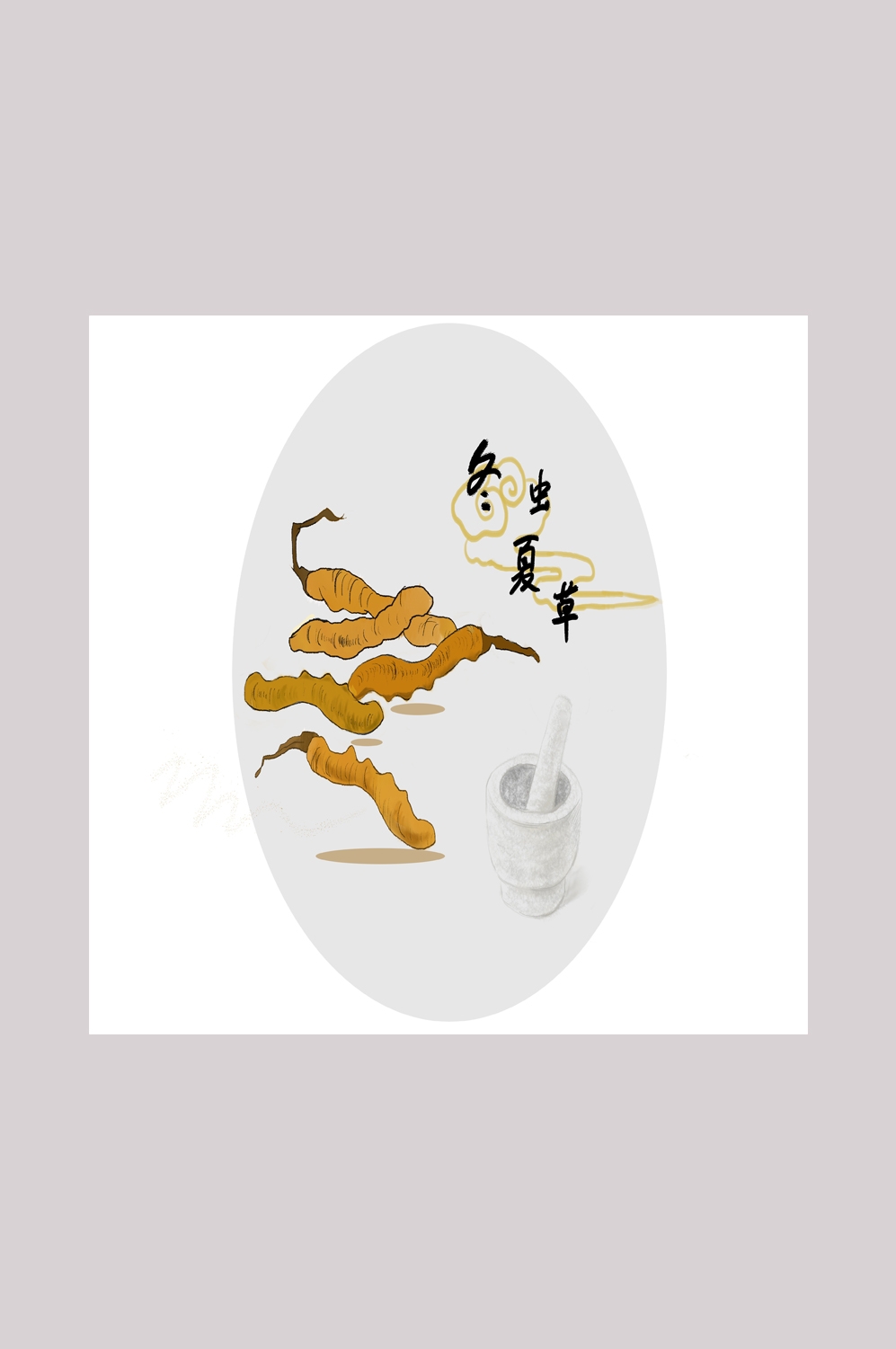 中国传统中医挂画中草药图集插画海报展板冬虫夏草8