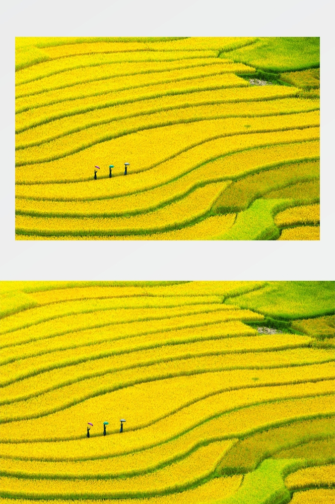 梯田农田田野高清图片8