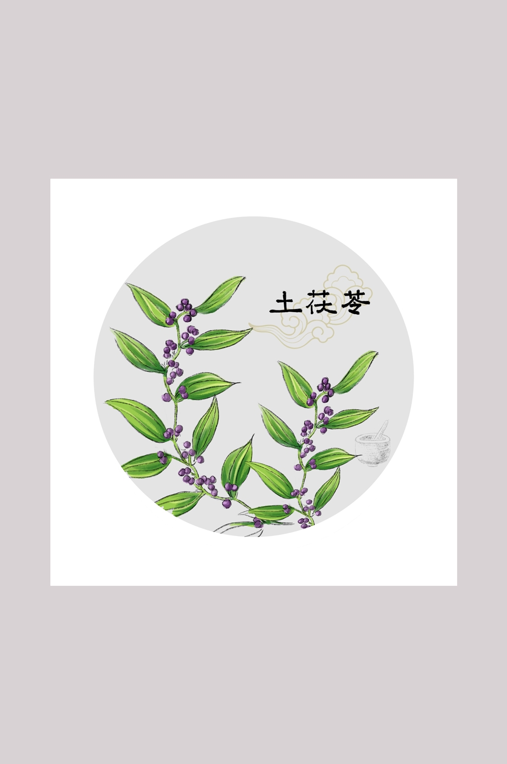 中国传统中医挂画中草药图集插画海报展板土茯苓9