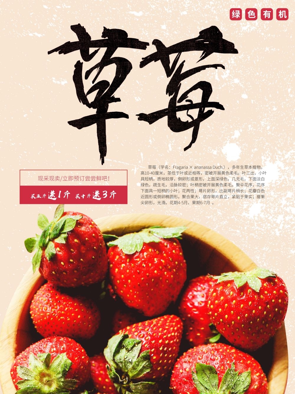 餐饮美食海报模板草莓草莓促销宣传单广告设计素材 (9)