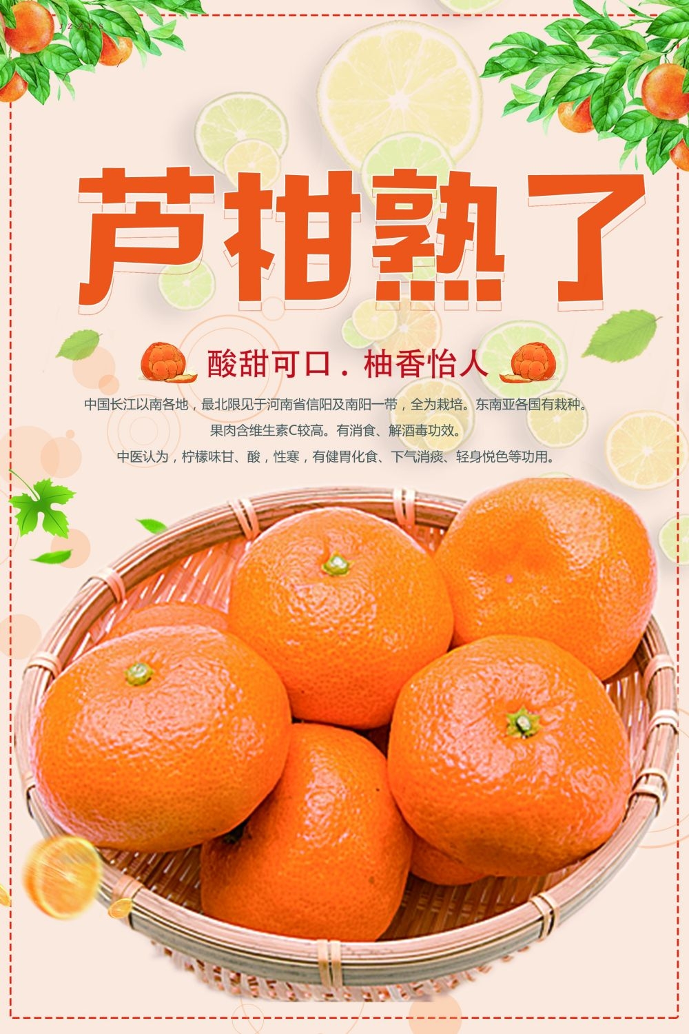 海报蜜桔桔子橘子芦柑促销宣传单广告设计素材 (5)