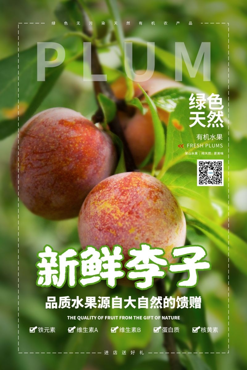 新鲜李子海报展板背景促销宣传素材 (11)