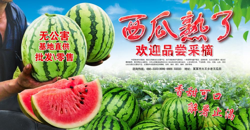 海报背景新鲜西瓜促销宣传单广告设计素材 (3)