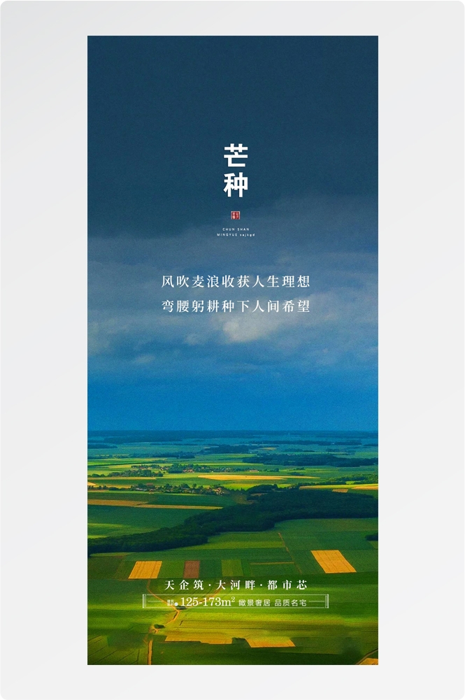 二十四24节气芒种小麦风景海报 (17)