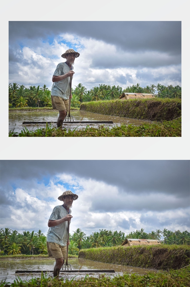 农业生产插秧收割农活高清图片 (92)