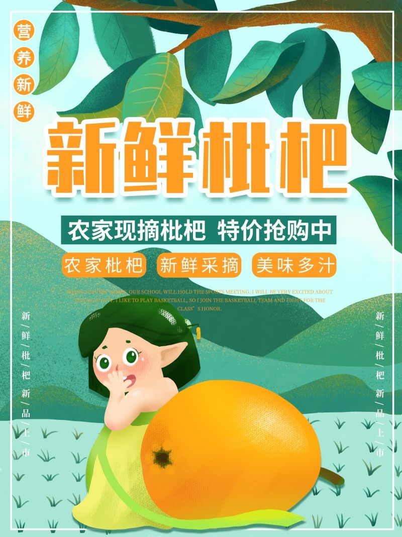 新鲜枇杷海报展板背景促销宣传素材 (17)