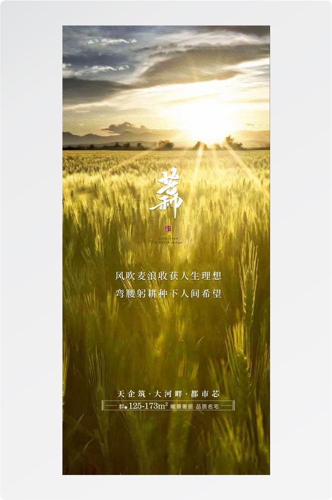 二十四24节气芒种小麦风景海报 (24)