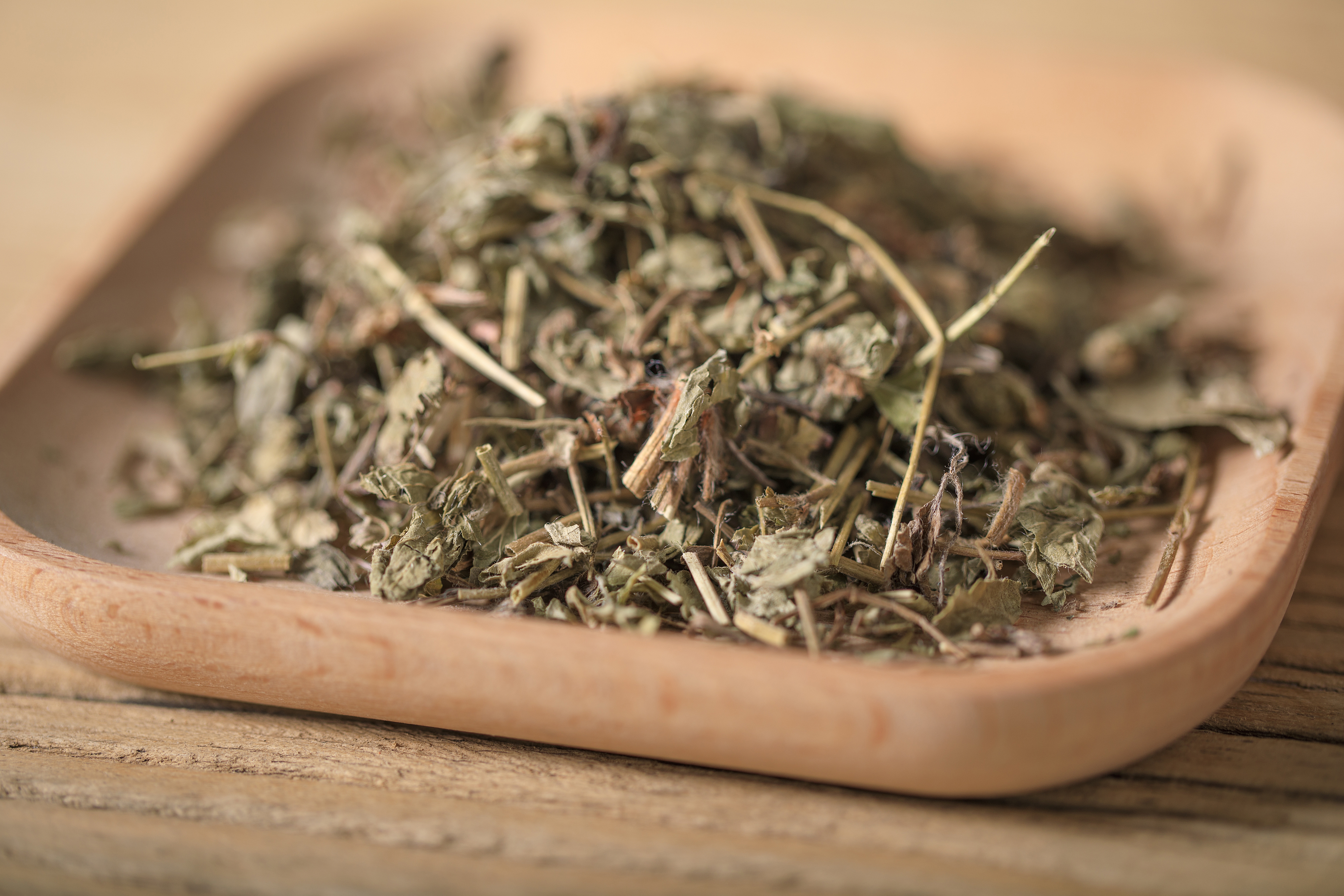 中药里的蛇莓草