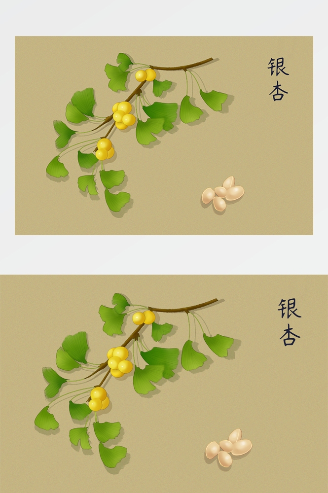 中国传统中医挂画中草药图集插画海报展板 (31)