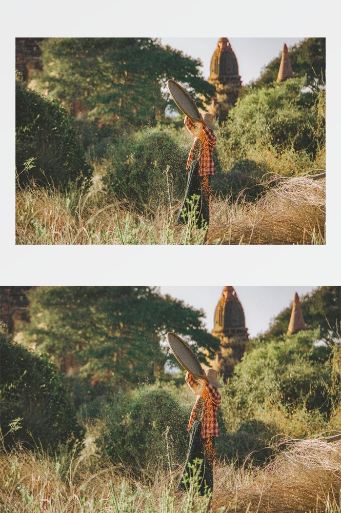 农业生产插秧收割农活高清图片 (188)