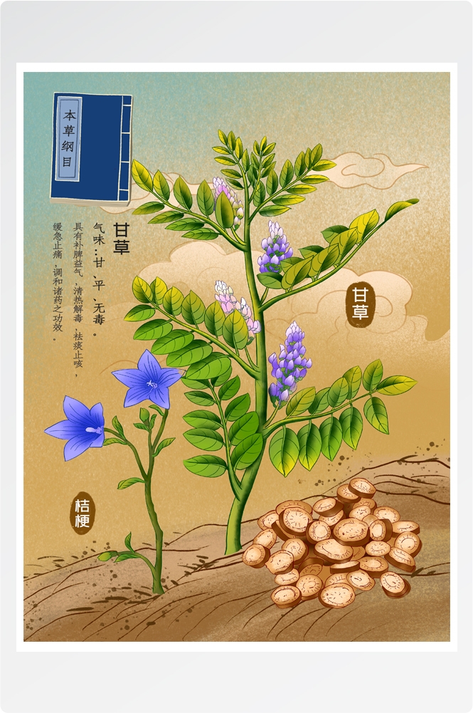 中国传统中医挂画中草药图集插画素材甘草9