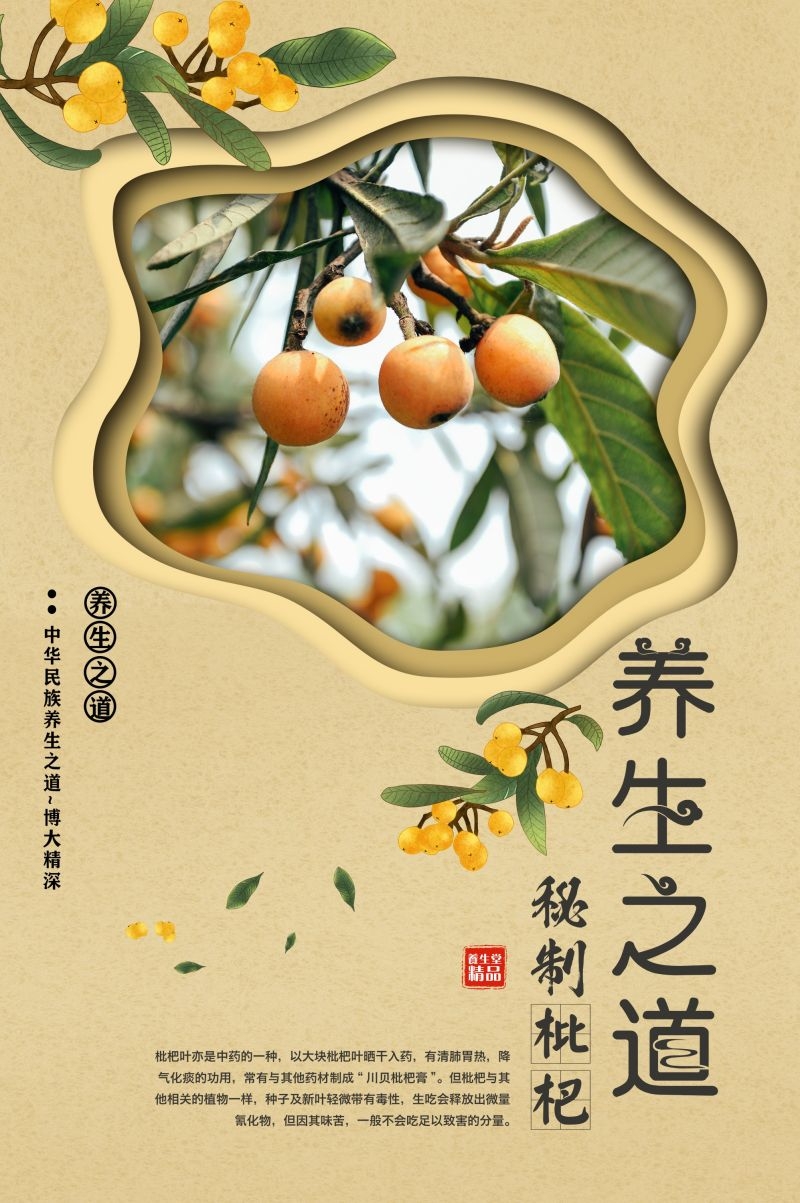 新鲜枇杷海报展板背景促销宣传素材 (10)