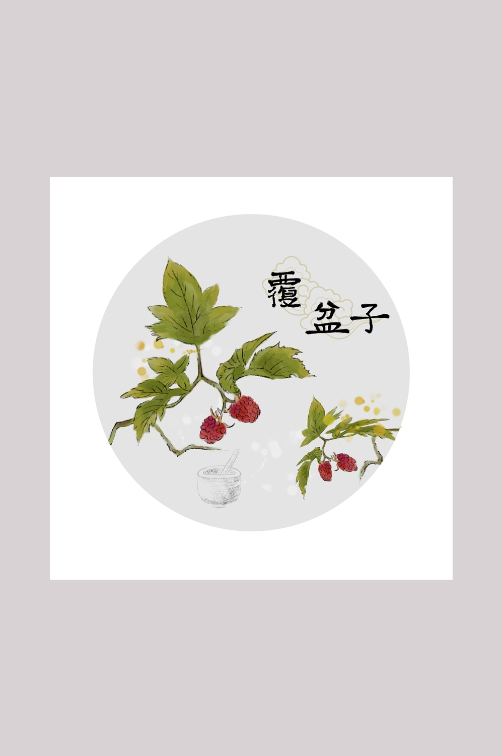 中国传统中医挂画中草药图集插画海报展板覆盆子36