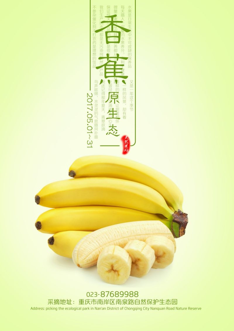 新鲜香蕉海报展板背景促销宣传素材 (16)