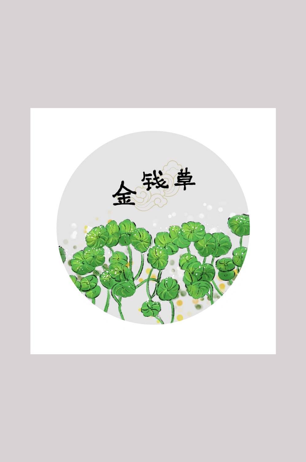 中国传统中医挂画中草药图集插画海报展板金钱草39