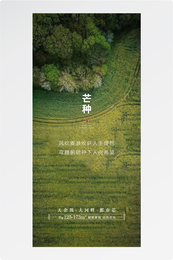 二十四24节气芒种小麦风景海报 (25)
