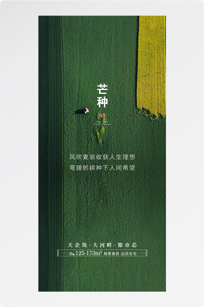 二十四24节气芒种小麦风景海报 (26)