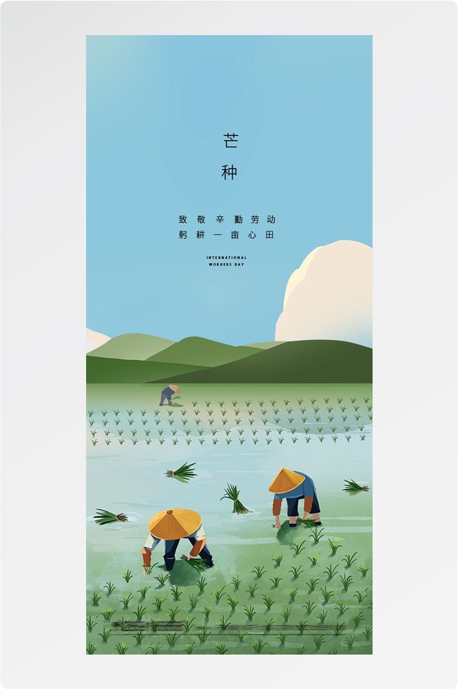 二十四24节气小麦芒种海报宣传插画 (35)