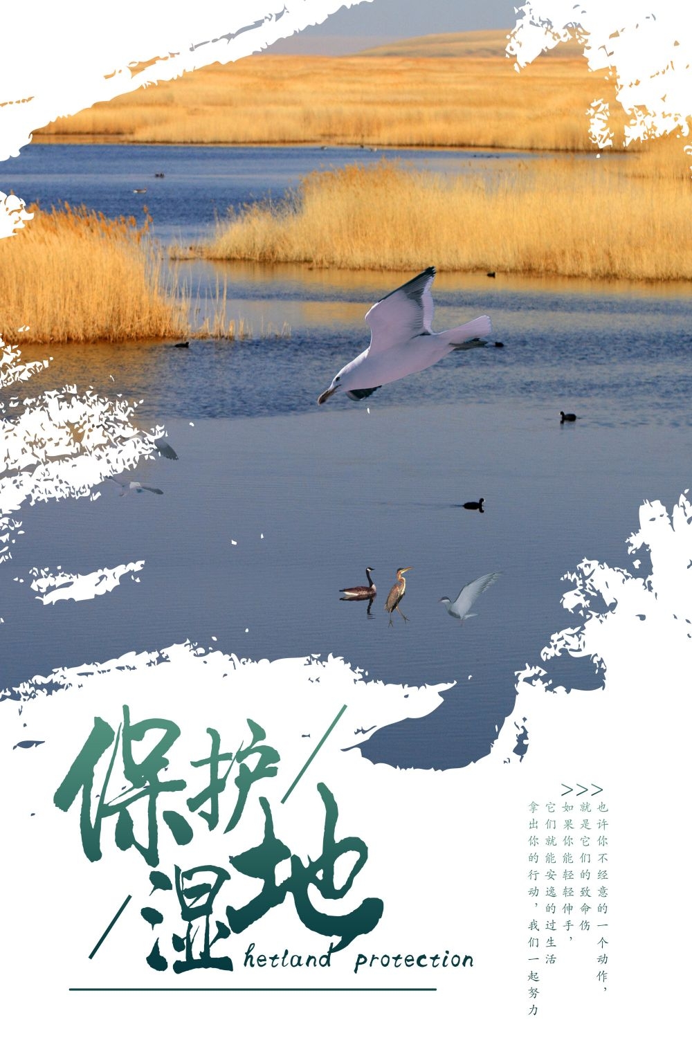 湿地日保护湿地环保促销宣传单广告设计素材