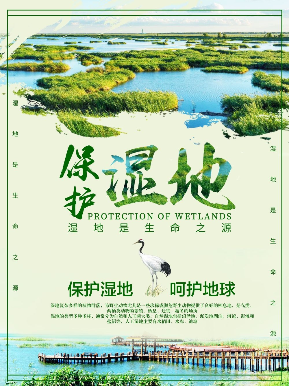 湿地日保护湿地环保促销宣传单广告设计素材 (35)
