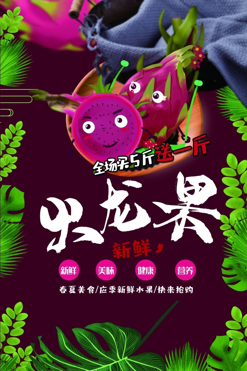 新鲜火龙果海报展板背景促销宣传素材 (26)