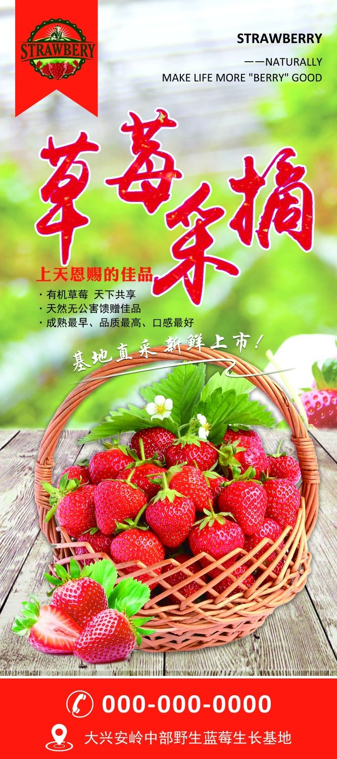 水果蔬菜饮料海报展架易拉宝设计素材 (52)