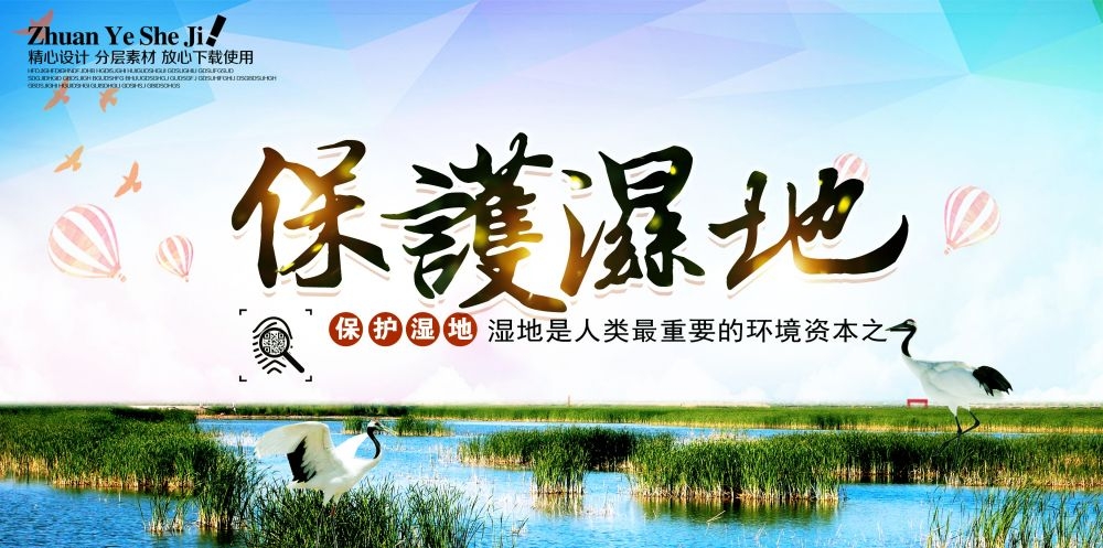 湿地日保护湿地环保促销宣传单广告设计素材 (16)
