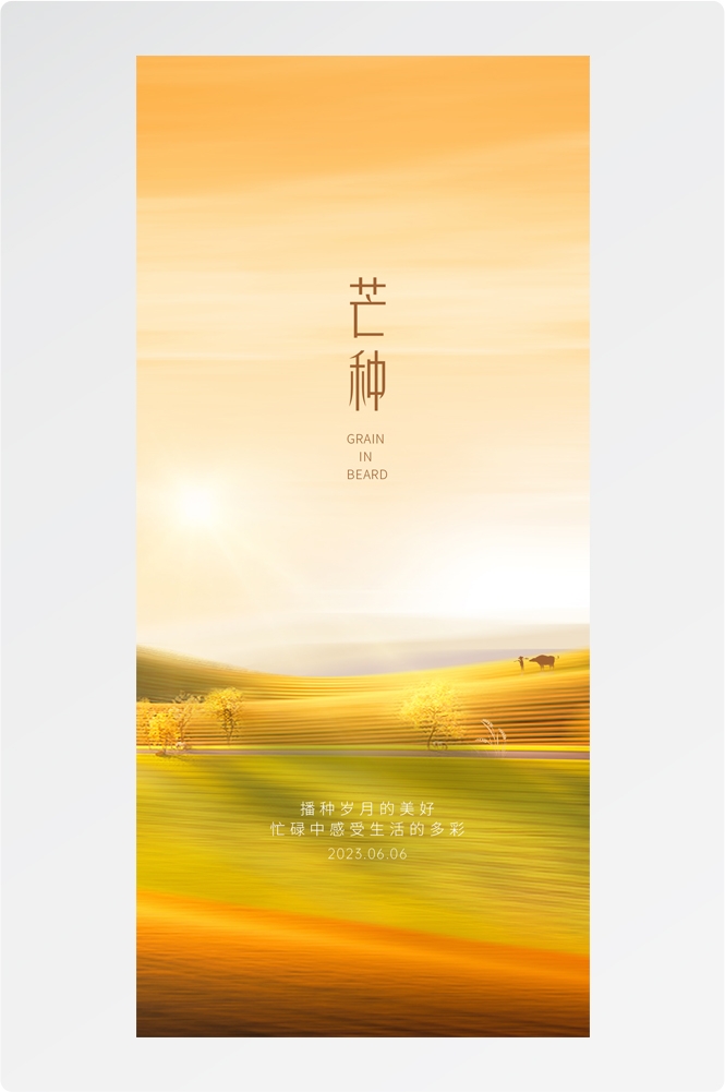 二十四24节气芒种小麦风景海报 (3)