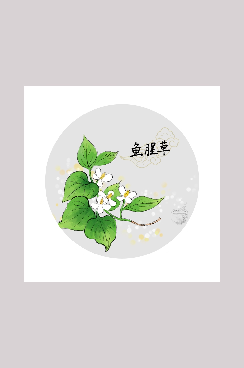 中国传统中医挂画中草药图集插画海报展板鱼腥草41