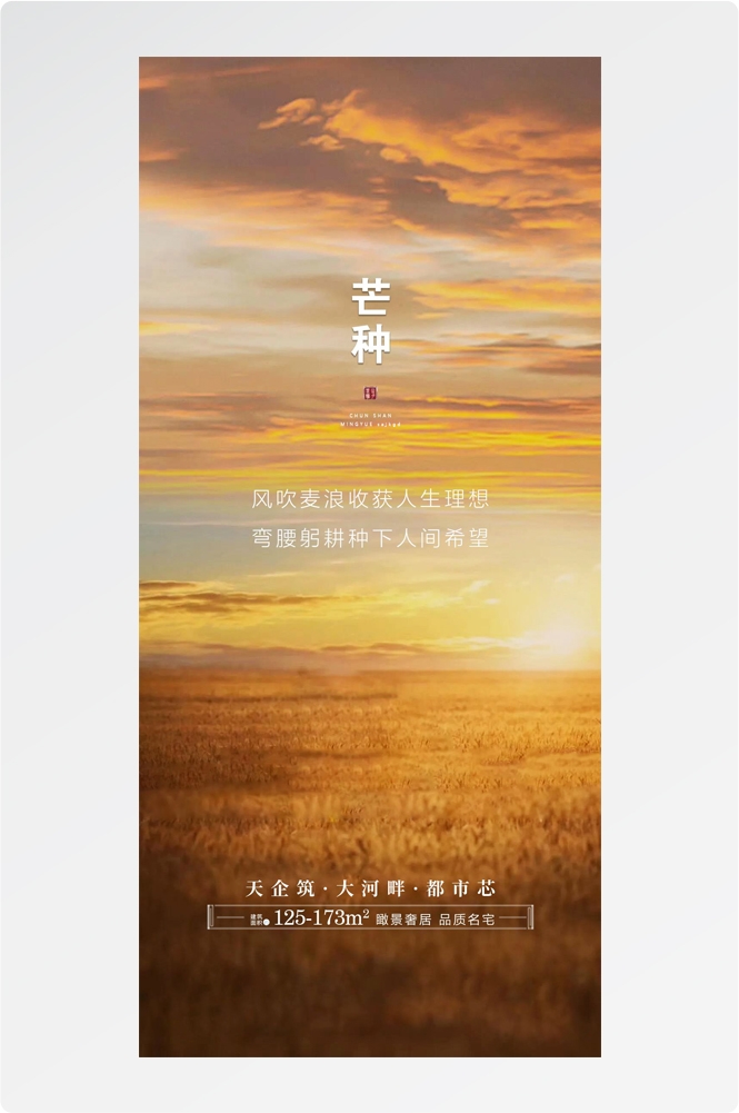 二十四24节气芒种小麦风景海报 (15)