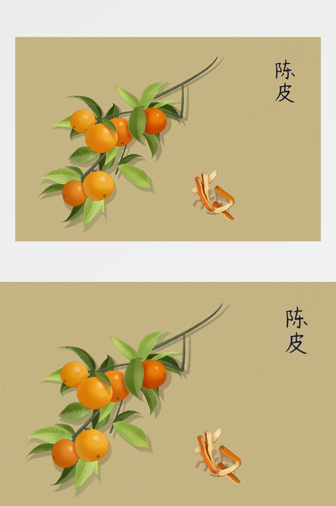 中国传统中医挂画中草药图集插画海报展板 (7)
