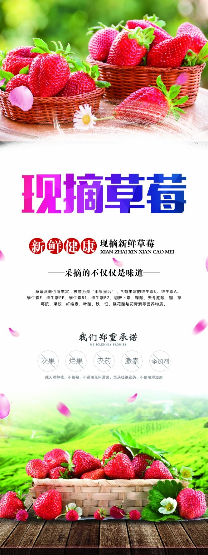 水果蔬菜饮料海报展架易拉宝设计素材 (43)