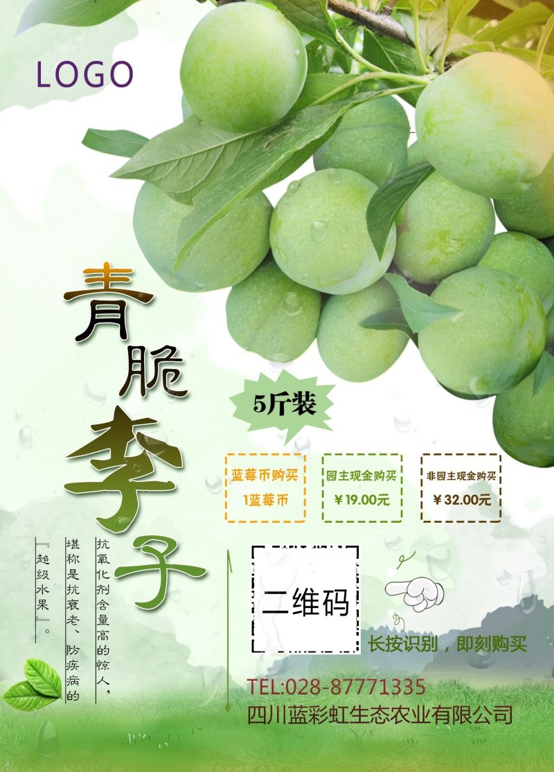 新鲜李子海报展板背景促销宣传素材 (10)