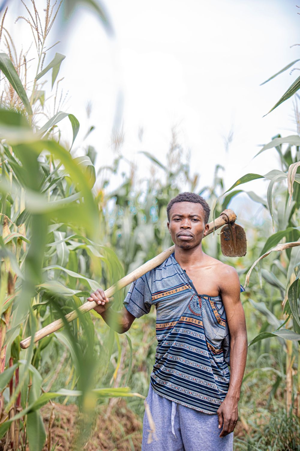 农业生产插秧收割农活高清图片 (321)