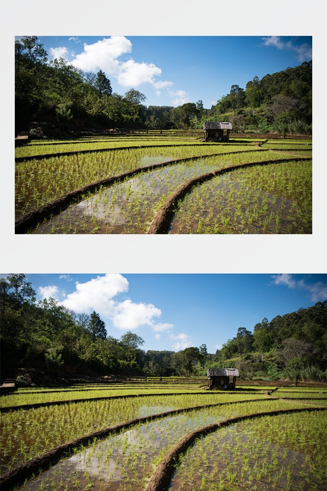 农业生产插秧收割农活高清图片 (31)