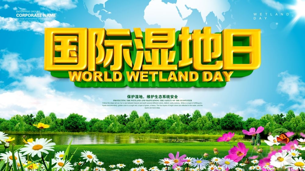 湿地日保护湿地环保促销宣传单广告设计素材 (40)
