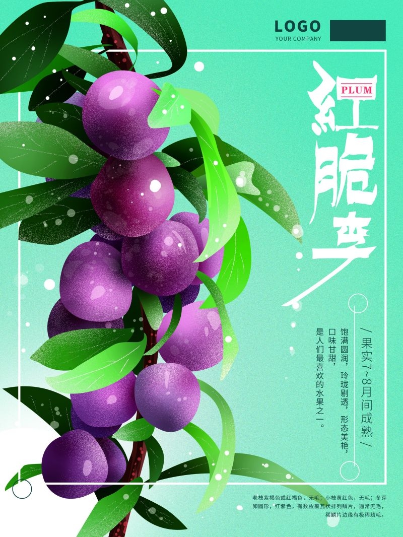 新鲜李子海报展板背景促销宣传素材 (15)