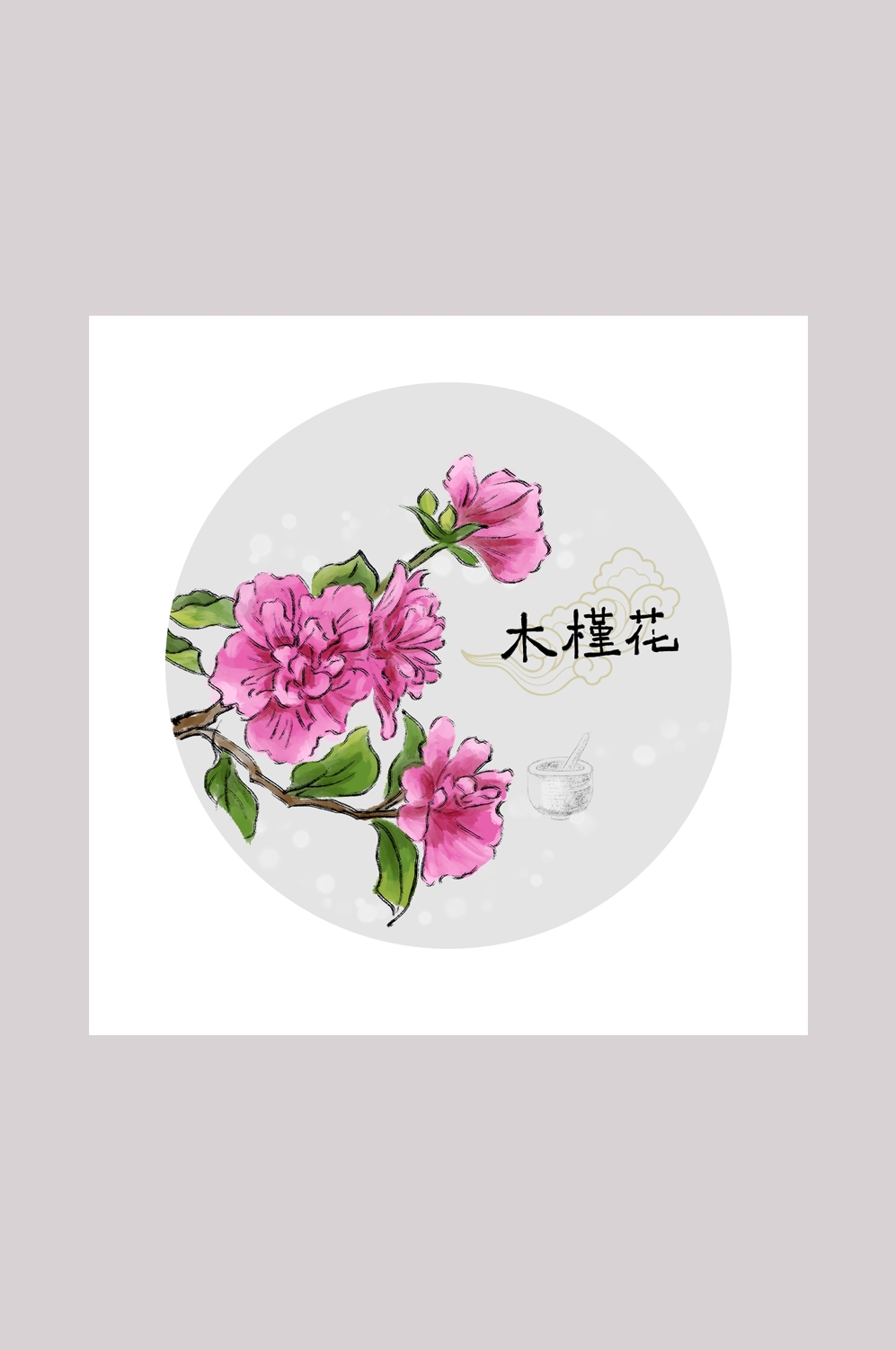 中国传统中医挂画中草药图集插画海报展板木莲花16