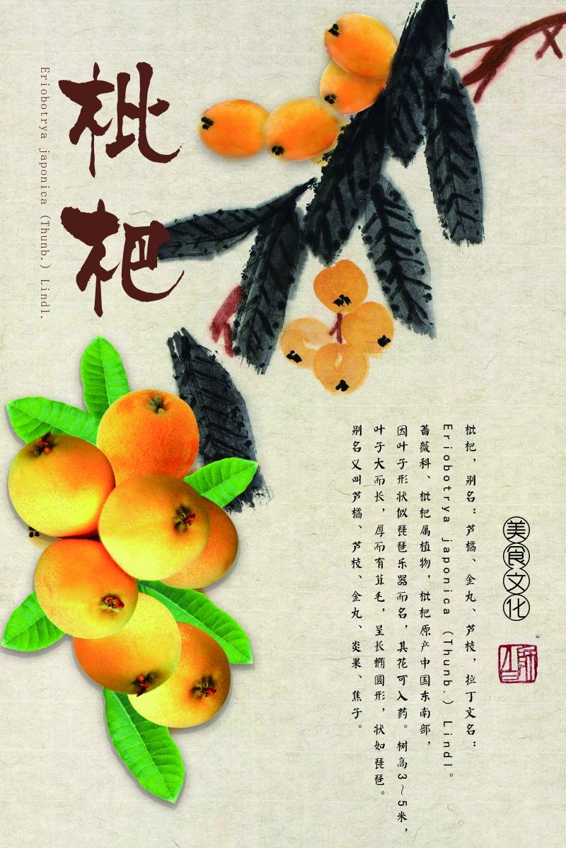 新鲜枇杷海报展板背景促销宣传素材 (1)