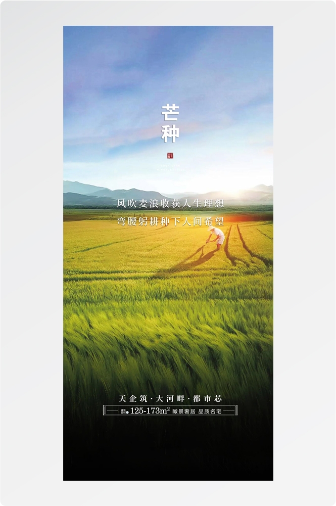 二十四24节气芒种小麦风景海报 (18)