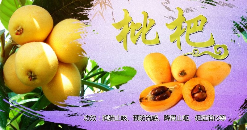 新鲜枇杷海报展板背景促销宣传素材 (2)