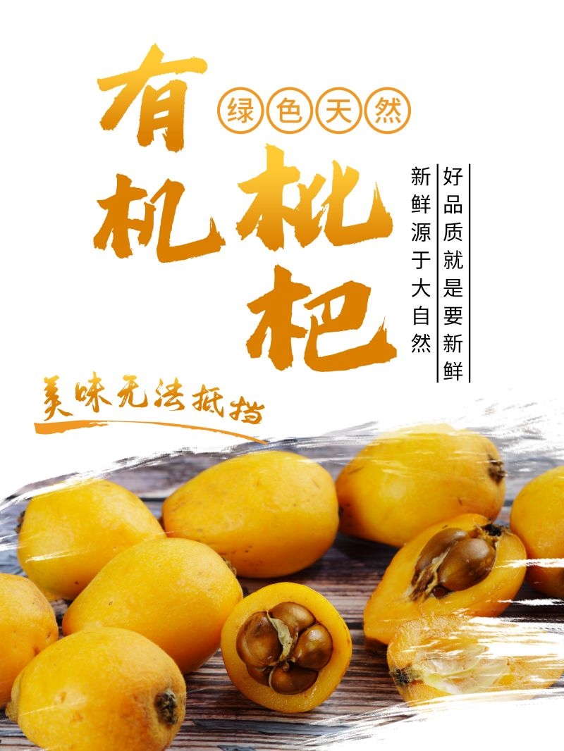 新鲜枇杷海报展板背景促销宣传素材 (12)