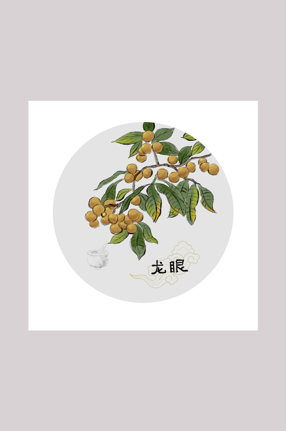 中国传统中医挂画中草药图集插画海报展板龙眼46