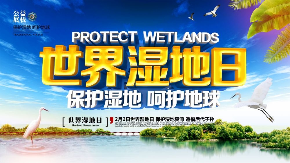 湿地日保护湿地环保促销宣传单广告设计素材
