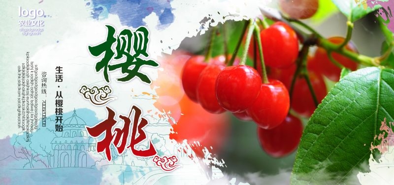 新鲜的樱桃促销宣传单海报展板背景广告设计素材 (21)
