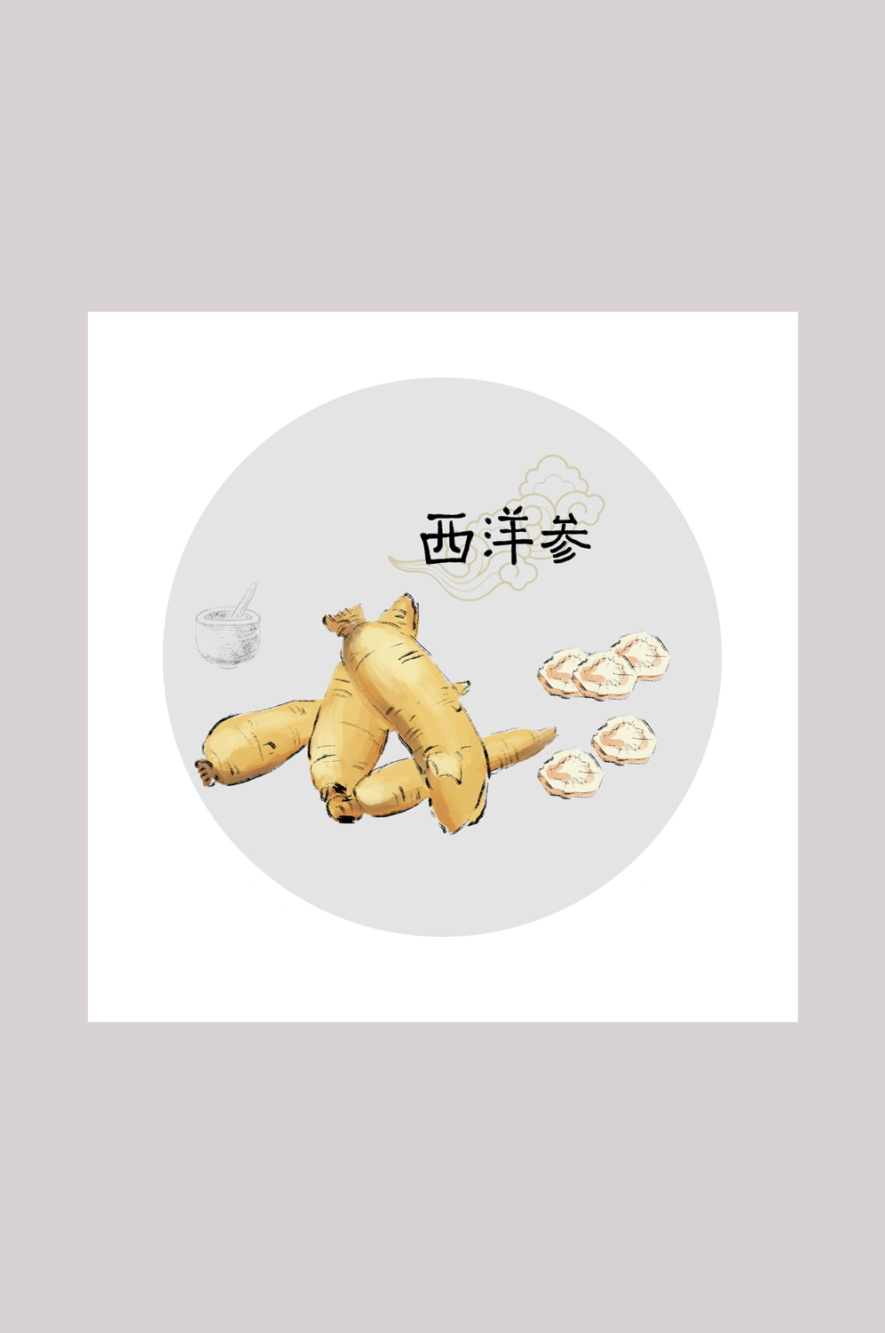 中国传统中医挂画中草药图集插画海报展板西洋参35